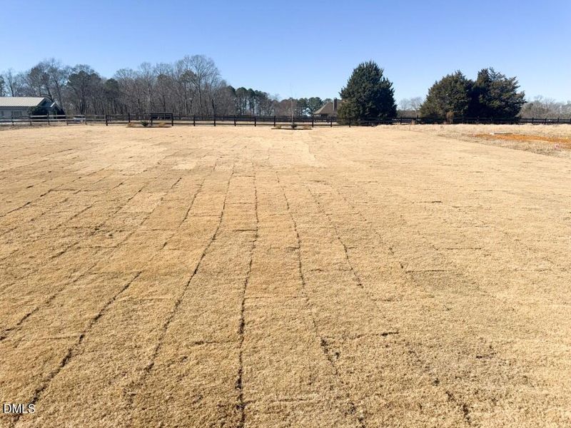 Photo Jan 20 2026, 12 44 24 PM (Medium)