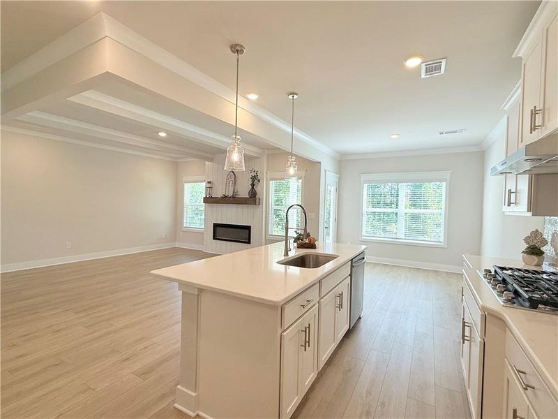 Furnished interior view inside a new home in Ponderosa Farms Estates, Gainesville (Image 8).