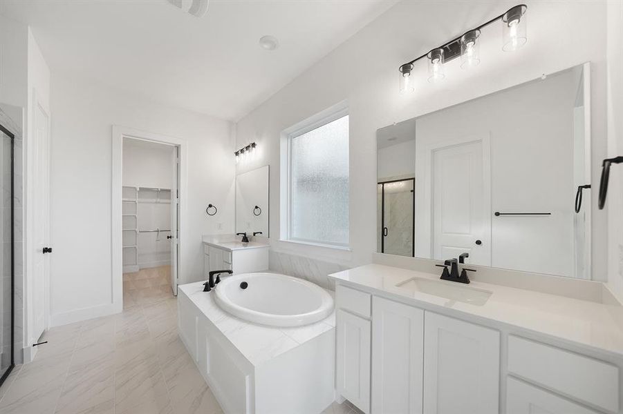 Full bathroom with a bath, a spacious closet, two vanities, and a stall shower
