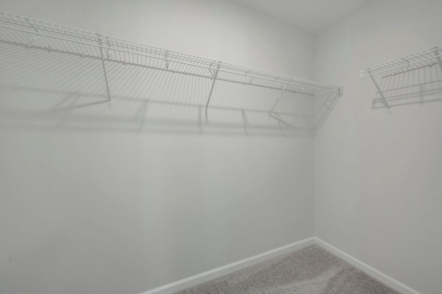 Owner's Closet