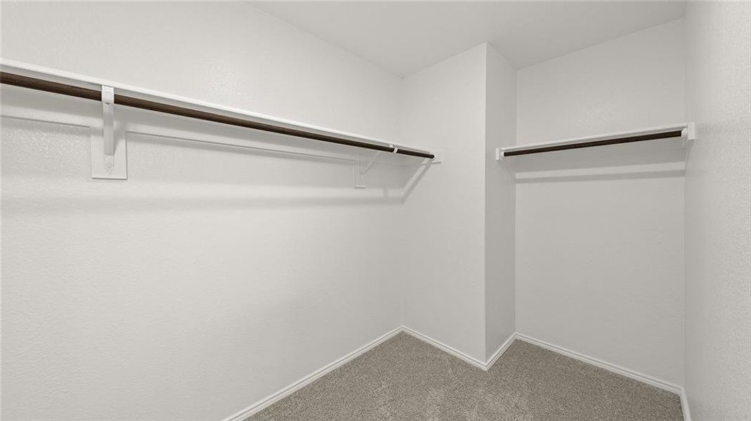 3007 Willow Wood  Closet 2