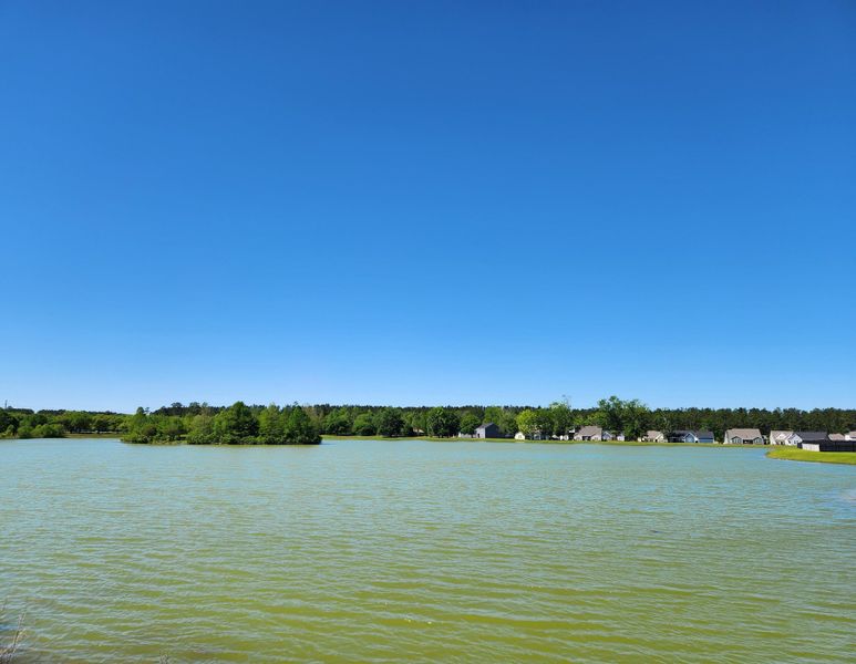 Natural landscape and outdoor views near  in Ridgeville (Image 13).