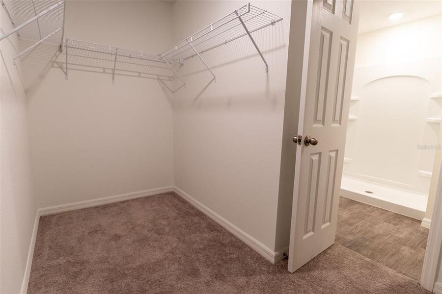 Spacious, unfurnished interior of a new home in Ocala, Ocala (Image 26).