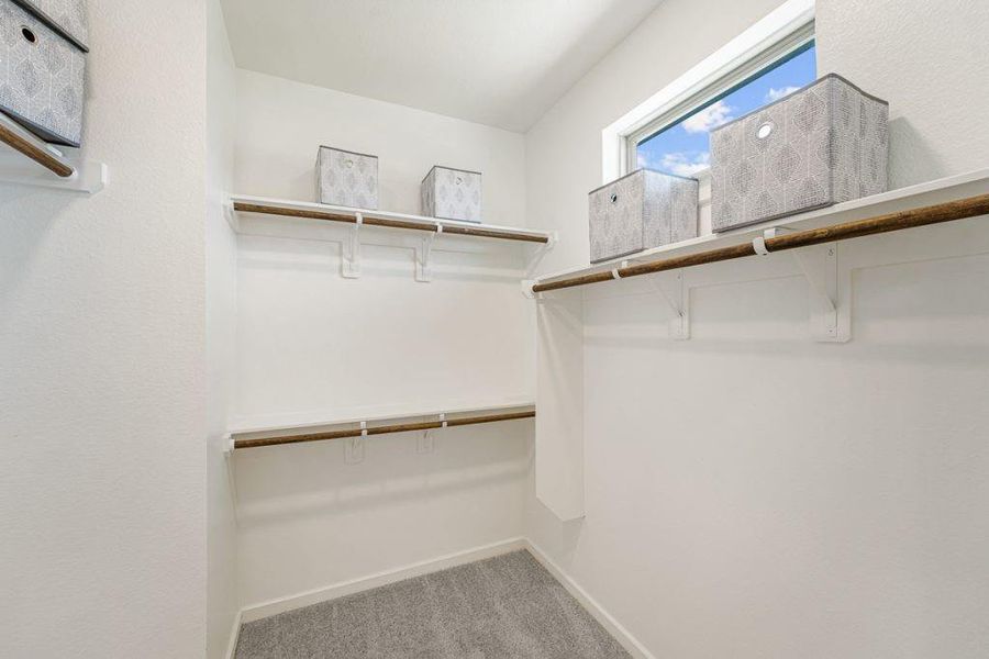 representative photo