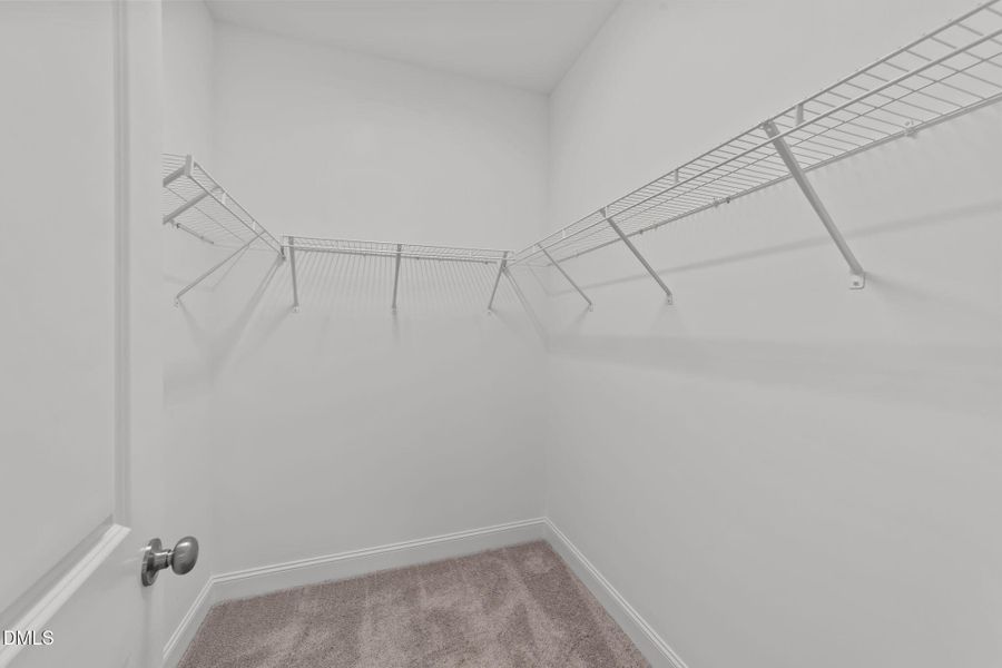 41-web-or-mls-VB4A1298 41-web-or-mls-VB4A1298