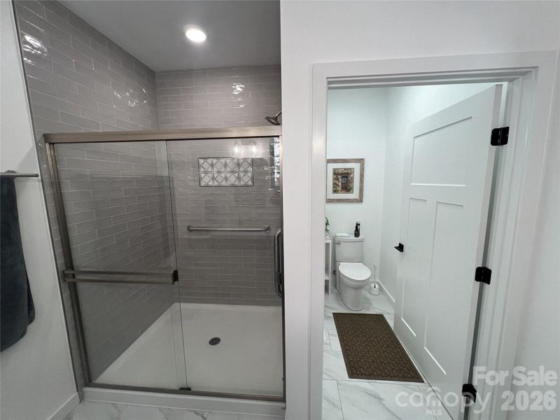 Grab Bars in Shower and Toilet Room