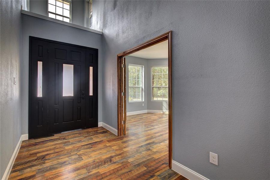 Entryway with dark wood-type flooring