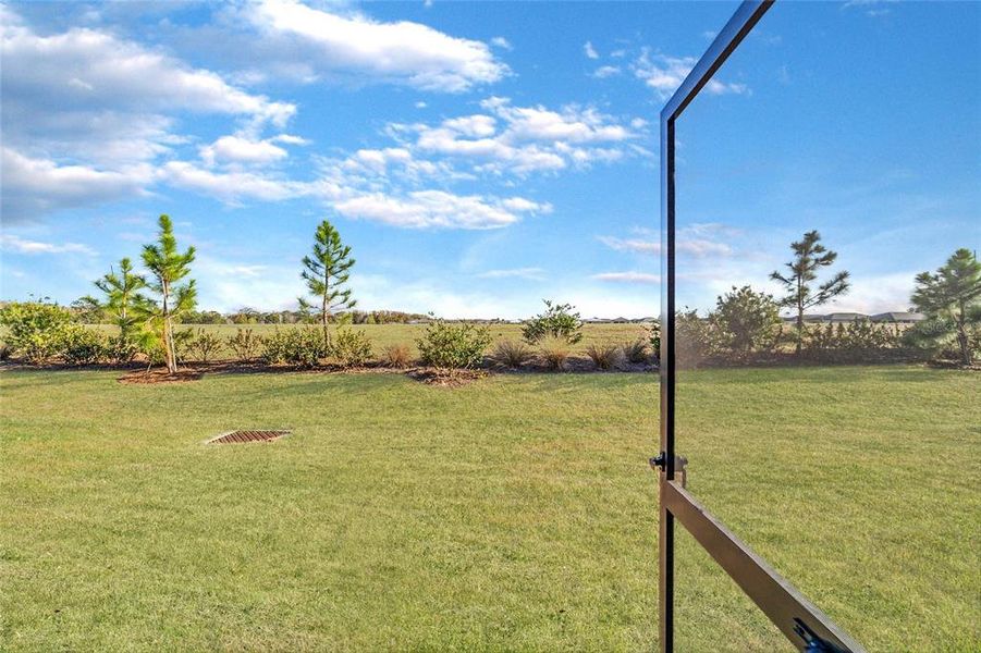 Natural landscape and outdoor views near  in Ocala (Image 45).