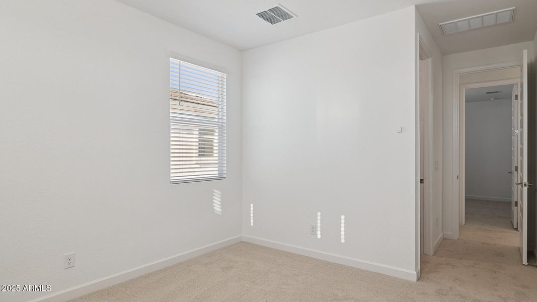 3985_Phoenician_Lot 2081_Aloravita_Peori 3985_Phoenician_Lot 2081_Aloravita_Peori