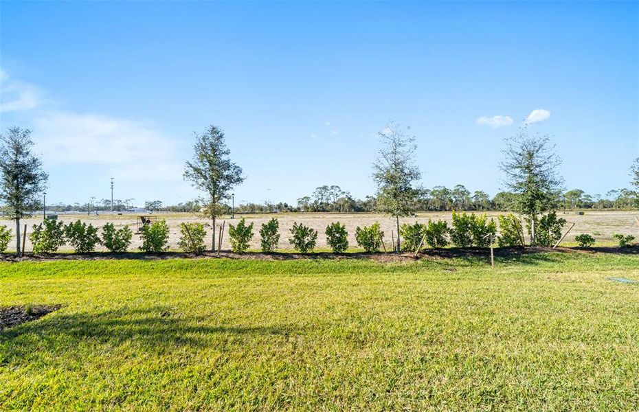 Natural landscape and outdoor views near SeaFlower in Bradenton (Image 35).