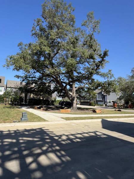 View from homesite located across the street and in front of the community.
