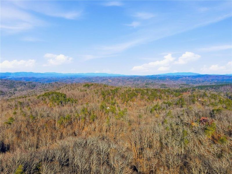 Natural landscape and outdoor views near  in Ranger (Image 48).