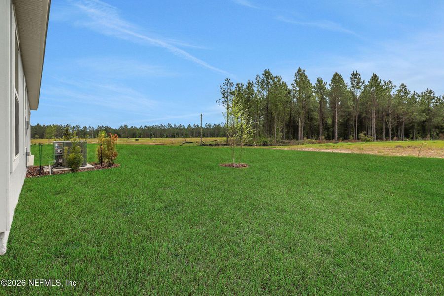 Exterior details and patio area of a home in Amberly, Green Cove Springs (Image 3).