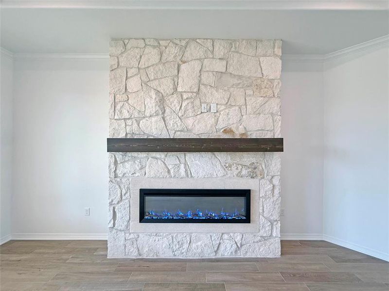 Detailed view of ornamental molding, a fireplace, and wood finish floors