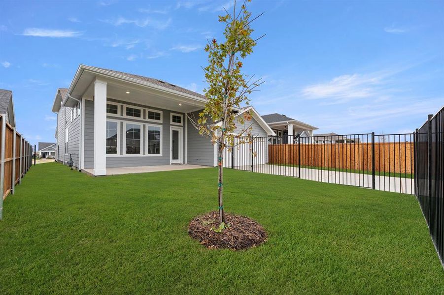 27. 1023 Abigail - Back (2)