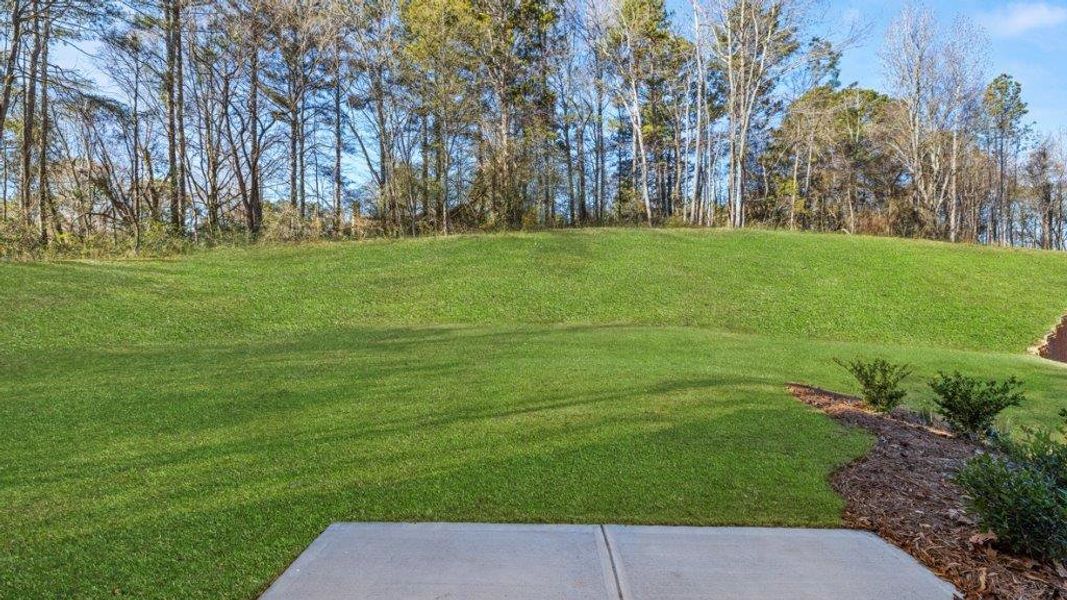 Outdoor and nature views near homes built from the GALEN by D.R. Horton in Oconee Overlook, Gainesville (Image 58). Outdoor and nature views near homes built from the GALEN by D.R. Horton in Oconee Overlook, Gainesville (Image 58).