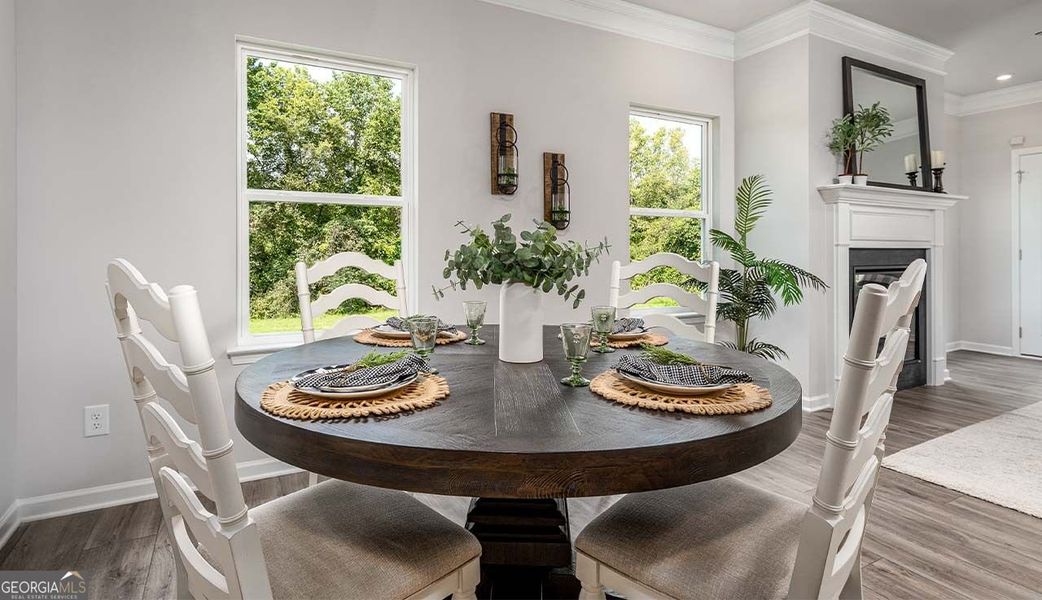 Furnished interior view inside a new home in Bryson Farms, Byron (Image 15).