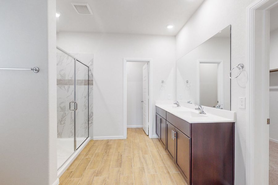Owner's Bathroom
