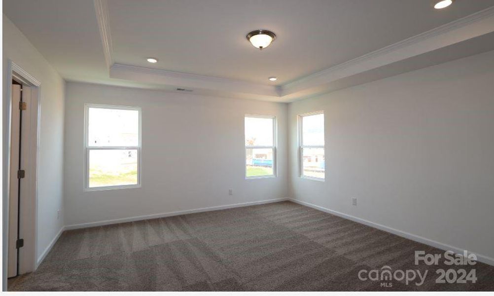 Owners Bedroom with tray ceiling and LED lighting