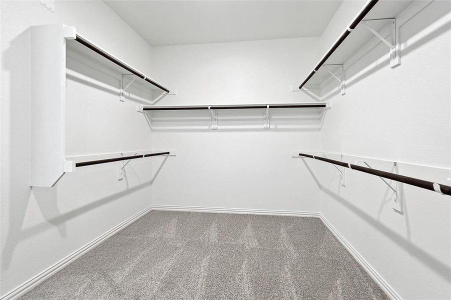 Spacious closet featuring carpet floors