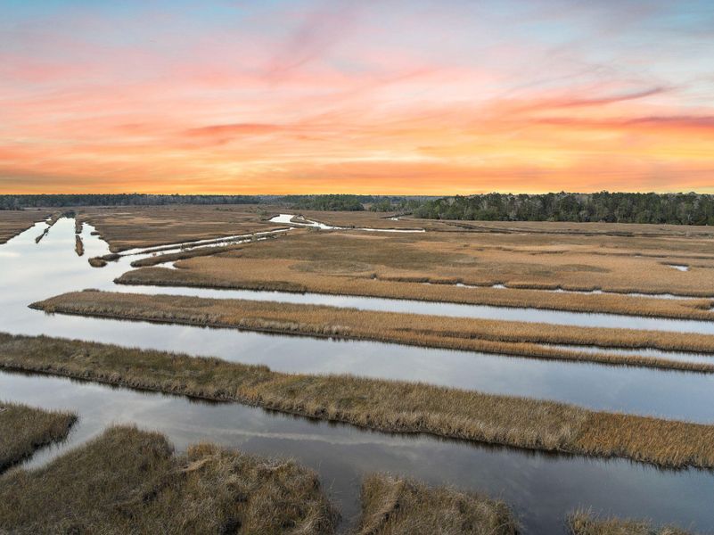 Site preparation for new homesites in , Ravenel (Image 15).