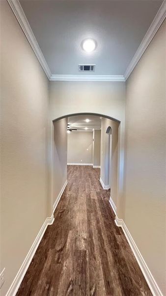 Corridor with ornamental molding and wood-type flooring