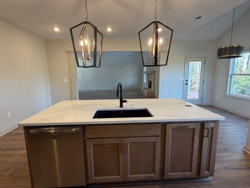 Furnished interior view inside a new home in Blackwelder Bluff, Bowdon (Image 4).