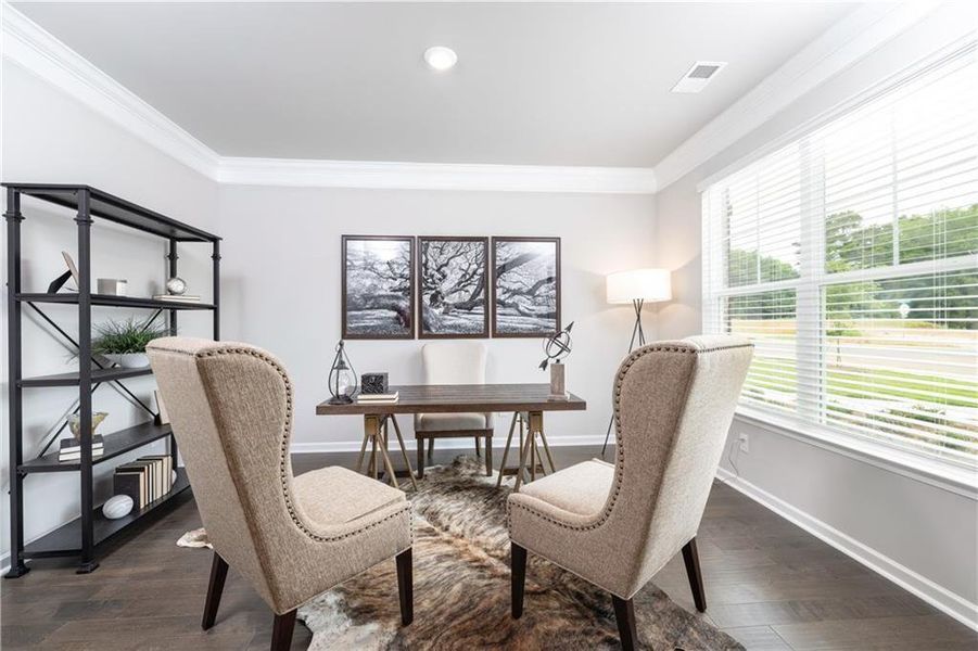 Furnished interior view inside a new home in Etowah Landing, Ball Ground (Image 6).