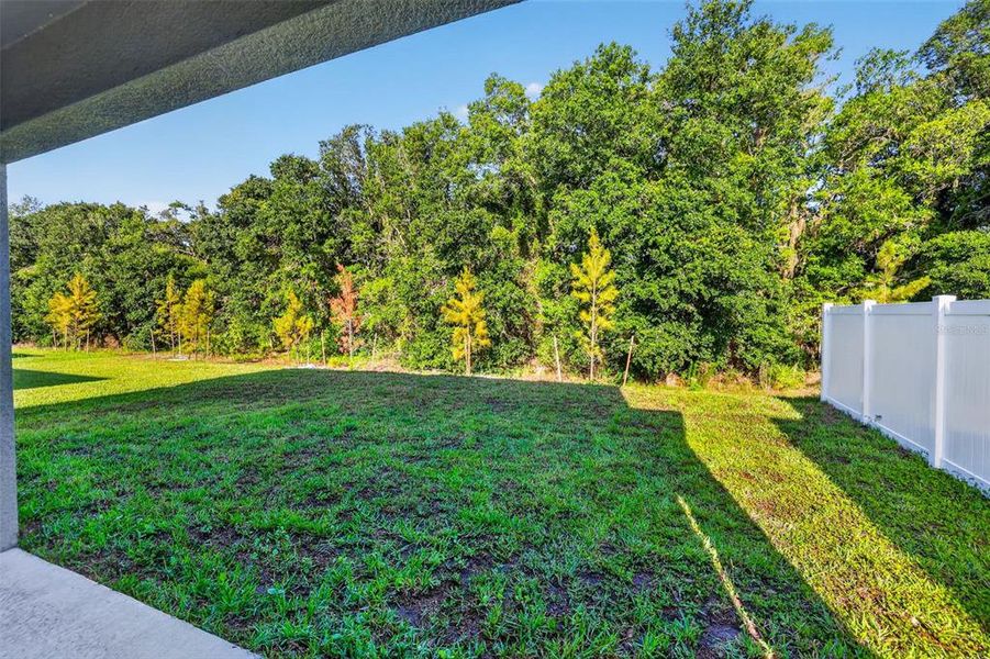 Exterior details and patio area of a home in , Riverview (Image 3).
