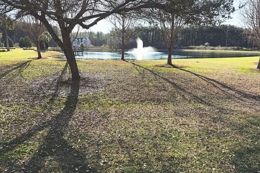 Natural landscape and outdoor views near  in Moncks Corner (Image 18).