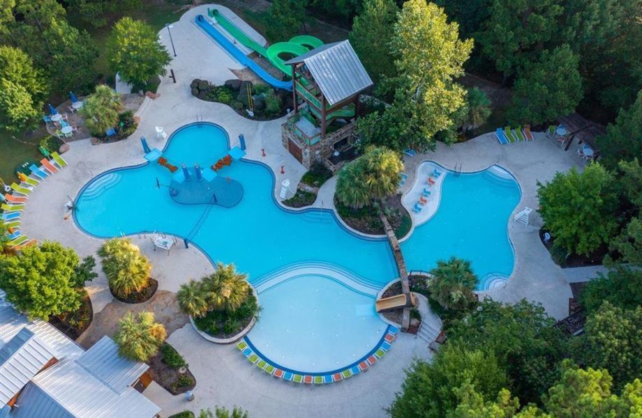 Forest Island-Freeform Amenity Pool with two 42-inch Water Slides