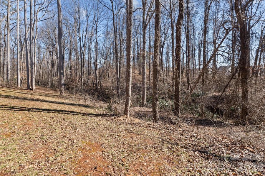 Natural landscape and outdoor views near  in Statesville (Image 31).