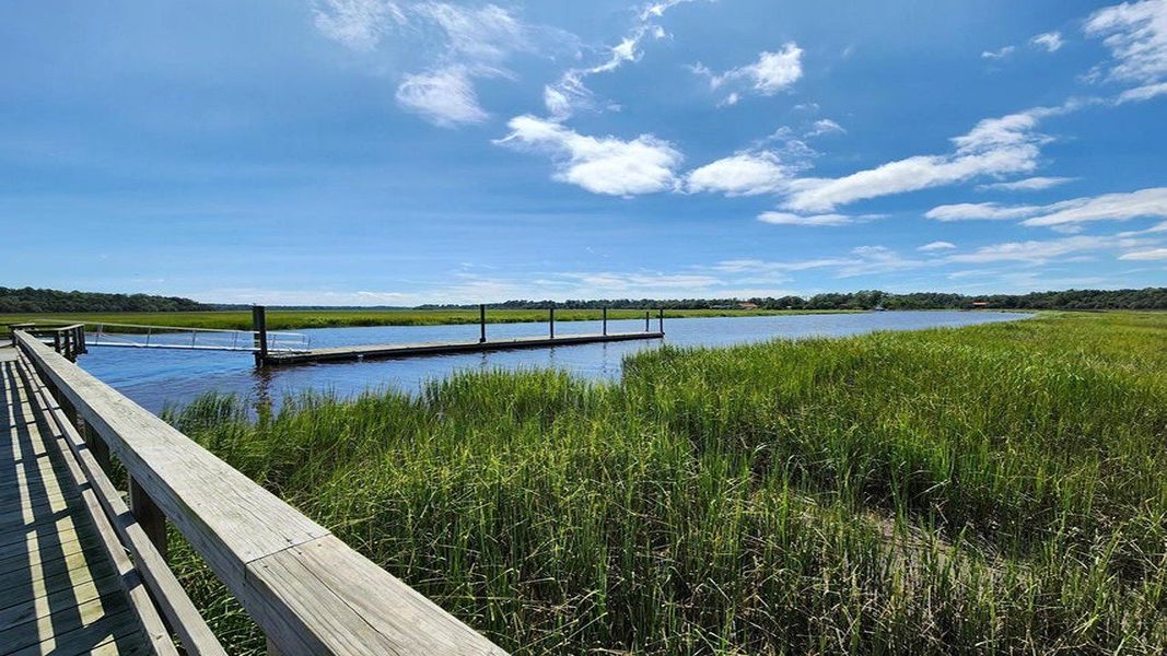 Natural landscape and outdoor views near Rivers Reach in Yemassee (Image 35).