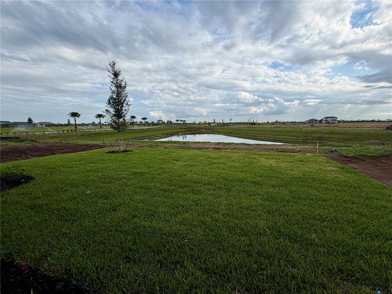 Natural landscape and outdoor views near Coasterra in Palmetto (Image 29). Natural landscape and outdoor views near Coasterra in Palmetto (Image 29).