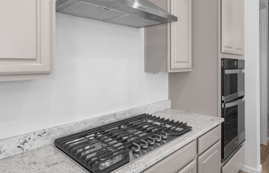 Close-up of interior finishes inside a home in Regent Hills - Meadow Series, Buckeye (Image 13).