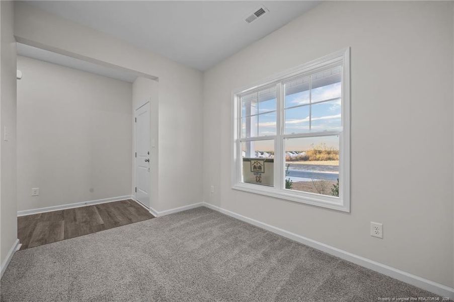 Lower level flex room