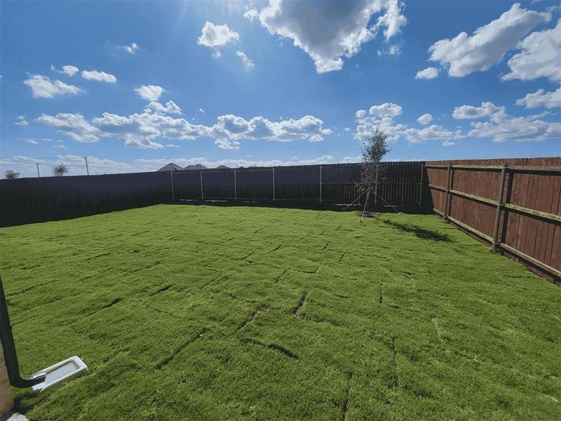 3048 backyard2 3048 backyard2