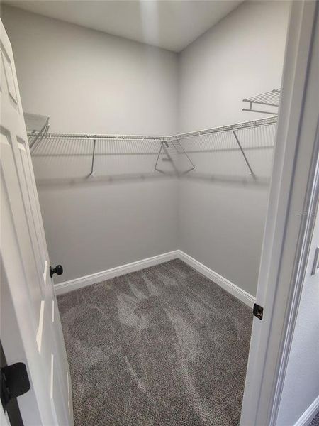Spacious, unfurnished interior of a new home in , Apopka (Image 20). Spacious, unfurnished interior of a new home in , Apopka (Image 20).