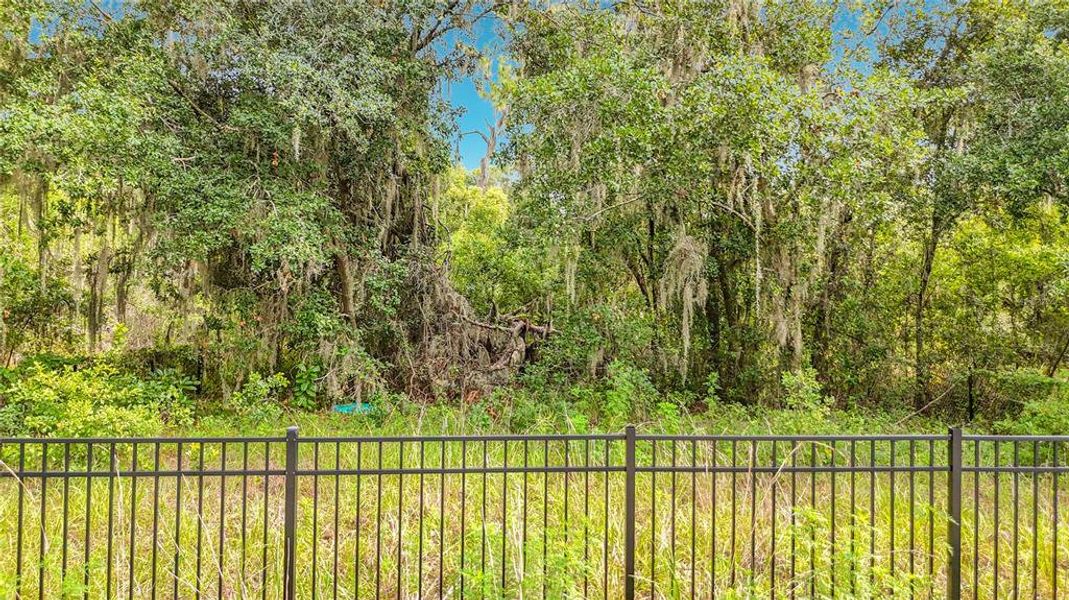 Natural landscape and outdoor views near  in Lithia (Image 34).