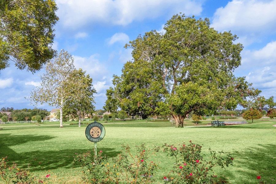 Natural landscape and outdoor views near Fulbrook on Fulshear Creek 60' in Fulshear (Image 9). Natural landscape and outdoor views near Fulbrook on Fulshear Creek 60' in Fulshear (Image 9).