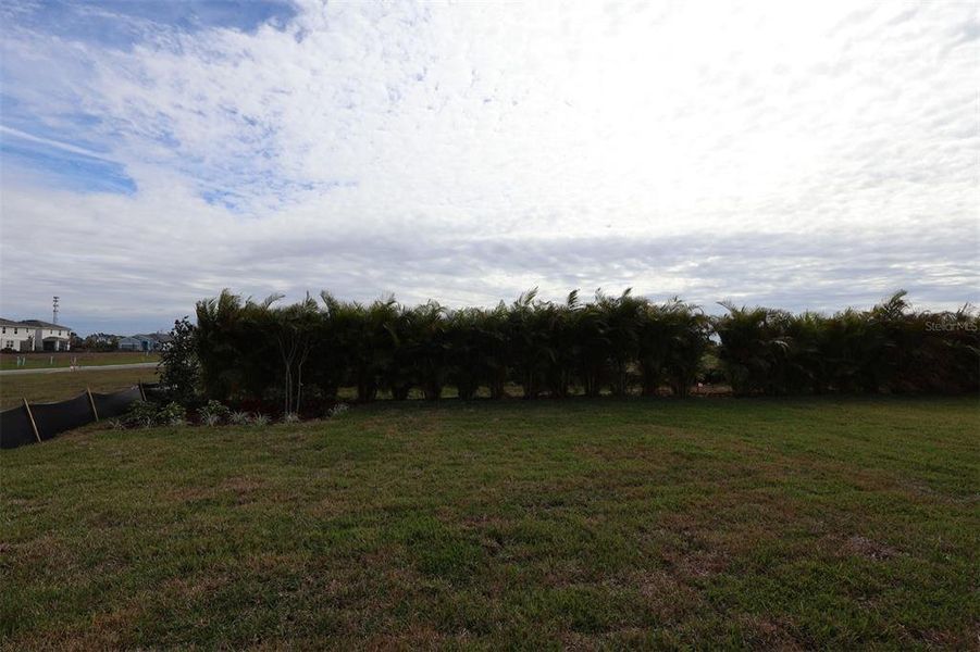 Natural landscape and outdoor views near Waterset Tradition Series in Apollo Beach (Image 38).