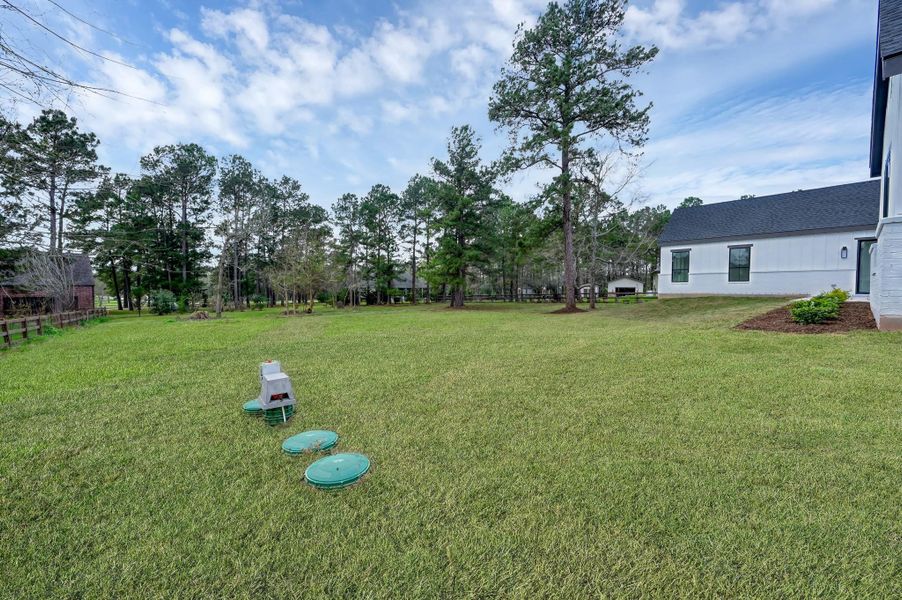 Spacious backyard with mature trees and open green space, providing endless opportunities for outdoor living and recreation.