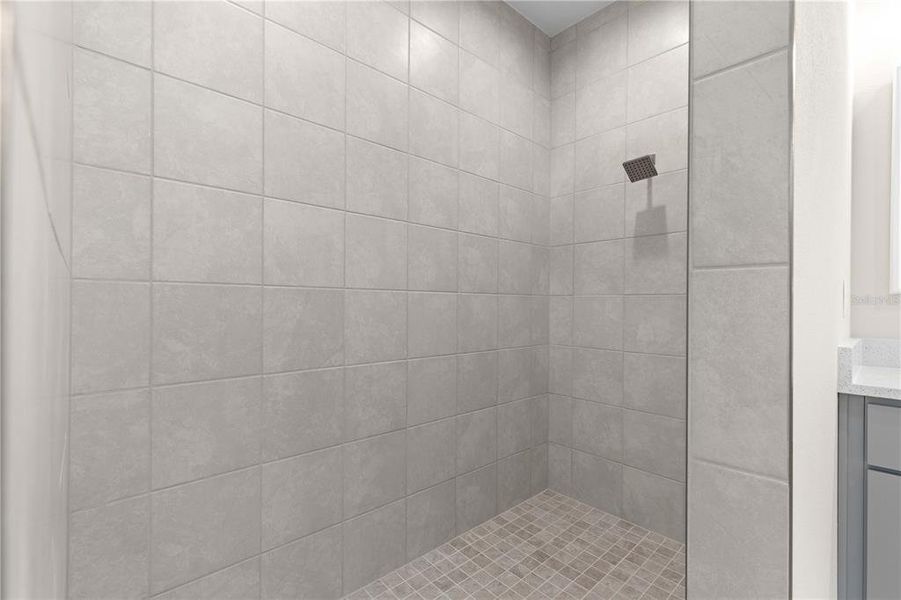 PRIMARY SUITE SHOWER WITH RAINSHOWERE UPGRADE