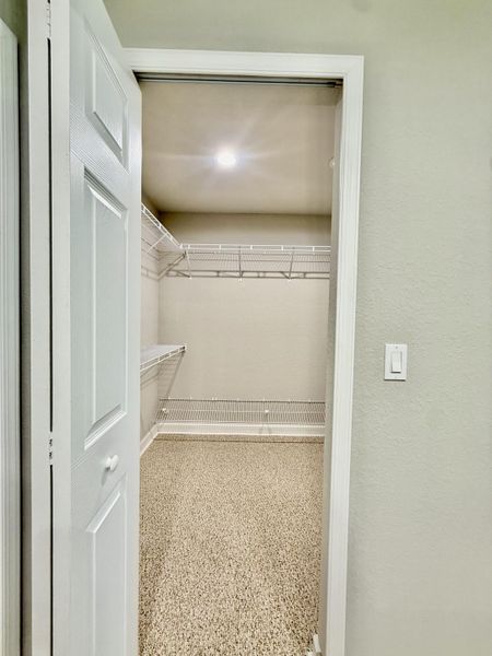 Huge walk in closet