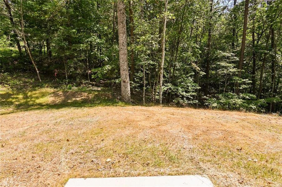 Natural landscape and outdoor views near  in Dahlonega (Image 32).