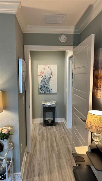 Furnished interior view inside a new home in , Okahumpka (Image 31). Furnished interior view inside a new home in , Okahumpka (Image 31).