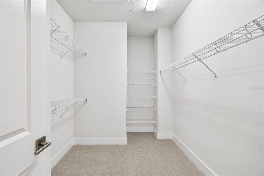 Spacious, unfurnished interior of a new home in Apex at Seminole Heights, Tampa (Image 21).