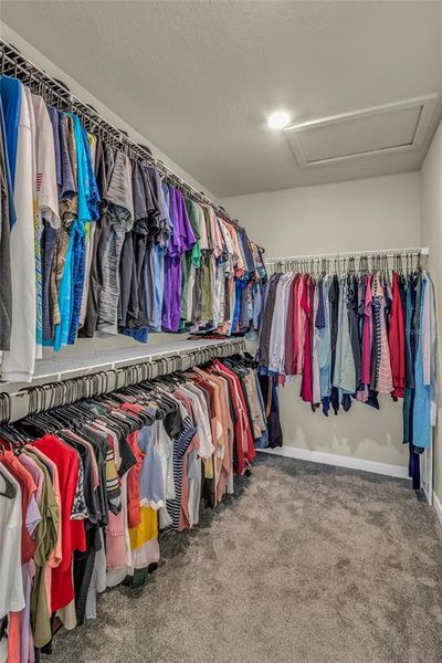 Furnished interior view inside a new home in , Apopka (Image 3).