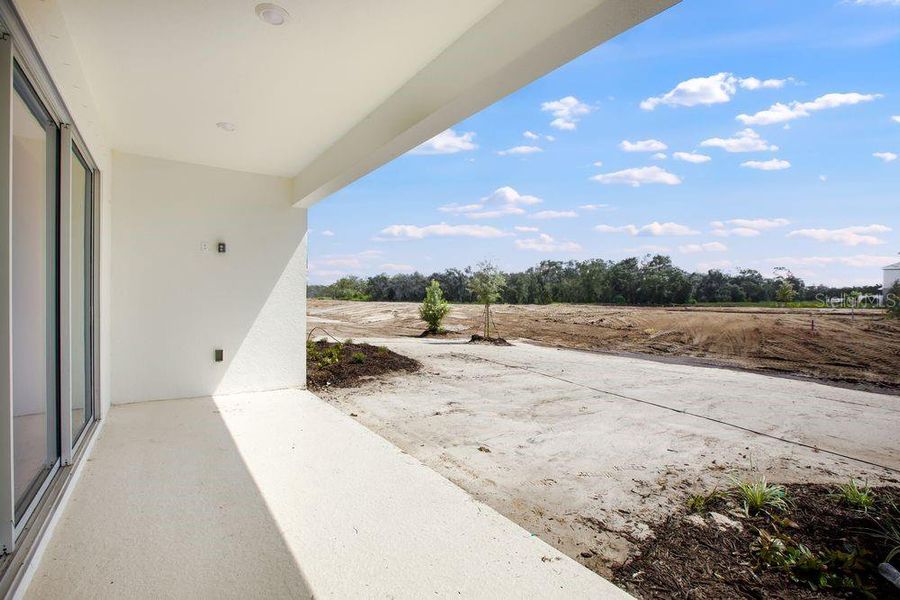 Exterior details and patio area of a home in Firethorn, Parrish (Image 26).