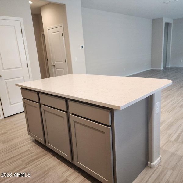 Kitchen Island and Open to Great Room